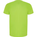 Fluro Green - Back - Roly Mens Imola Short-Sleeved Sports T-Shirt