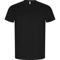 Solid Black - Front - Roly Mens Golden Plain Short-Sleeved T-Shirt