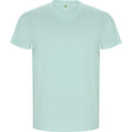 Mint - Front - Roly Mens Golden Plain Short-Sleeved T-Shirt