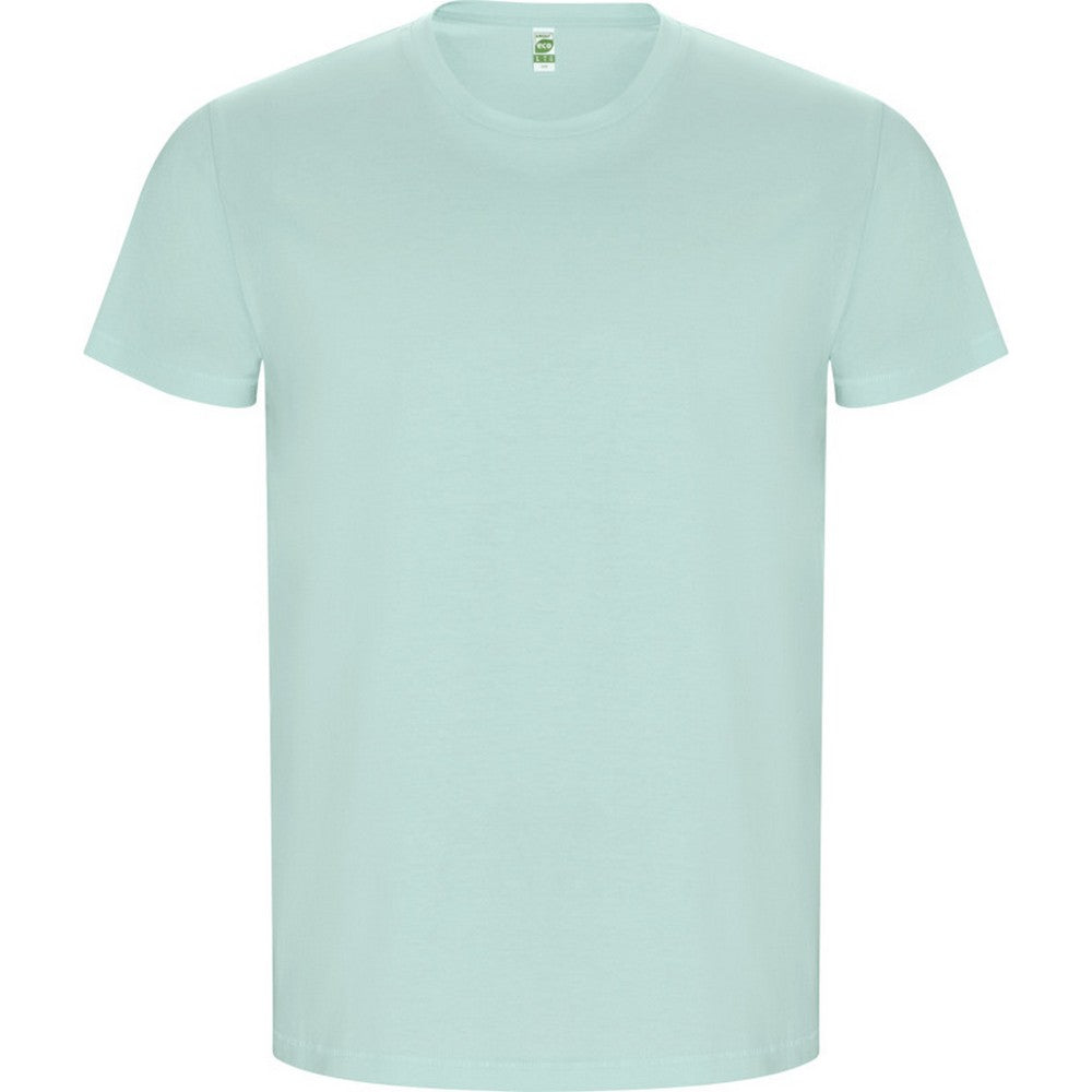 Mint - Front - Roly Mens Golden Plain Short-Sleeved T-Shirt