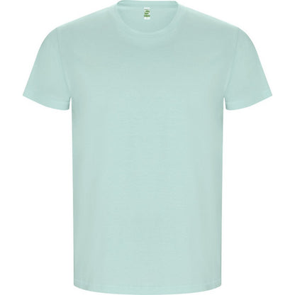 Mint - Front - Roly Mens Golden Plain Short-Sleeved T-Shirt