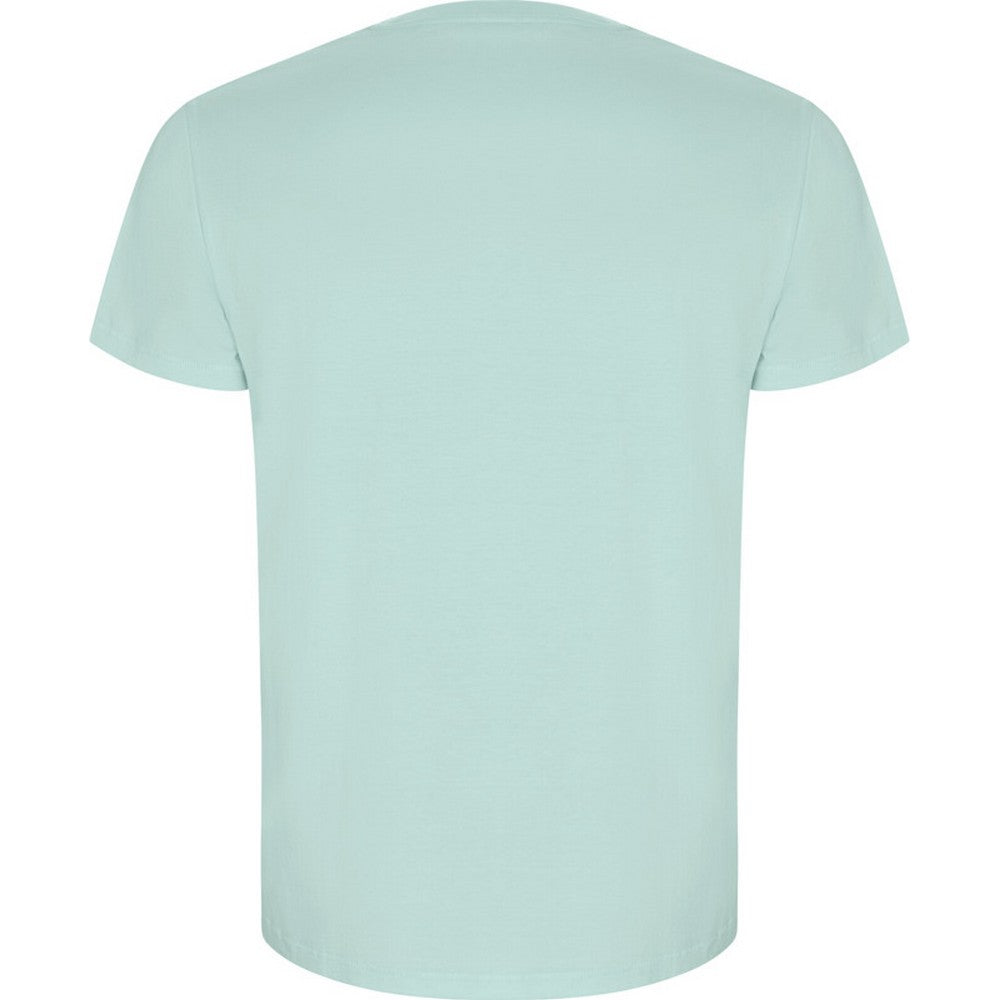 Mint - Back - Roly Mens Golden Plain Short-Sleeved T-Shirt