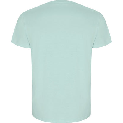 Mint - Back - Roly Mens Golden Plain Short-Sleeved T-Shirt
