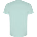 Mint - Back - Roly Mens Golden Plain Short-Sleeved T-Shirt