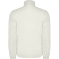 Pearl White - Back - Roly Mens Antartida Soft Shell Jacket