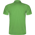 Fern Green - Back - Roly Childrens-Kids Monzha Polo Shirt