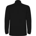 Solid Black - Back - Roly Mens Himalaya Quarter Zip Fleece Jacket