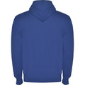 Royal Blue - Back - Roly Unisex Adult Montblanc Full Zip Hoodie
