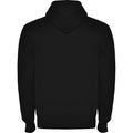 Solid Black - Back - Roly Unisex Adult Montblanc Full Zip Hoodie