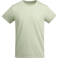 Mist Green - Front - Roly Childrens-Kids Breda T-Shirt