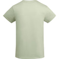Mist Green - Back - Roly Childrens-Kids Breda T-Shirt