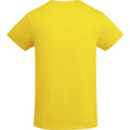Yellow - Back - Roly Childrens-Kids Breda T-Shirt