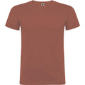 Brick Red - Front - Roly Childrens-Kids Beagle Short-Sleeved T-Shirt