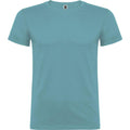 Dusty Blue - Front - Roly Childrens-Kids Beagle Short-Sleeved T-Shirt