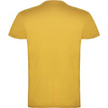 Ochre - Back - Roly Childrens-Kids Beagle Short-Sleeved T-Shirt