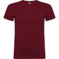 Garnet - Front - Roly Childrens-Kids Beagle Short-Sleeved T-Shirt