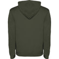 Venture Green - Back - Roly Mens Urban Hoodie