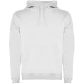 Venture Green - Front - Roly Mens Urban Hoodie