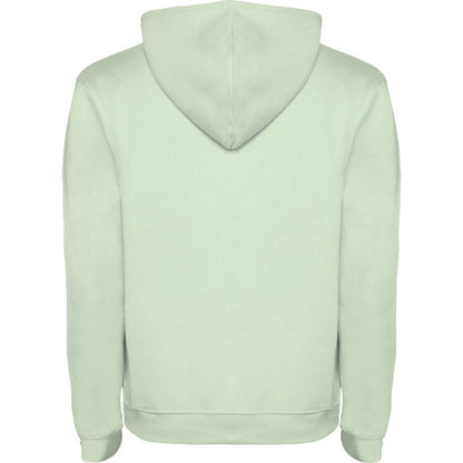 Mist Green - Back - Roly Mens Urban Hoodie