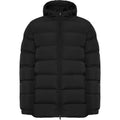 Solid Black - Front - Roly Unisex Adult Nepal Insulated Parka