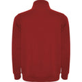Red - Back - Roly Mens Aneto Quarter Zip Sweatshirt
