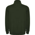 Bottle Green - Back - Roly Mens Aneto Quarter Zip Sweatshirt