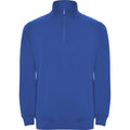 Royal Blue - Front - Roly Mens Aneto Quarter Zip Sweatshirt