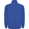 Royal Blue - Back - Roly Mens Aneto Quarter Zip Sweatshirt