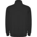 Solid Black - Back - Roly Mens Aneto Quarter Zip Sweatshirt
