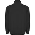 Solid Black - Back - Roly Mens Aneto Quarter Zip Sweatshirt