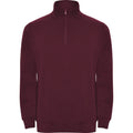 Garnet - Front - Roly Mens Aneto Quarter Zip Sweatshirt