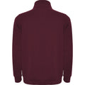 Garnet - Back - Roly Mens Aneto Quarter Zip Sweatshirt