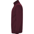 Garnet - Lifestyle - Roly Mens Aneto Quarter Zip Sweatshirt