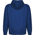 Royal Blue - Back - Roly Unisex Adult Vinson Hoodie