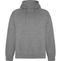 Grey Marl - Front - Roly Unisex Adult Vinson Hoodie