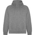 Grey Marl - Front - Roly Unisex Adult Vinson Hoodie