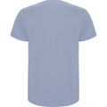 Zen Blue - Back - Roly Childrens-Kids Stafford Short-Sleeved T-Shirt