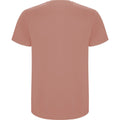 Clay Orange - Back - Roly Childrens-Kids Stafford Short-Sleeved T-Shirt