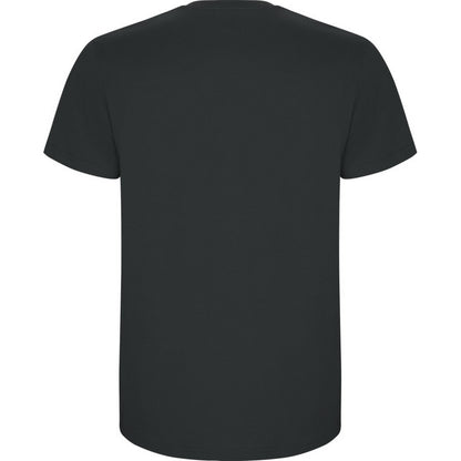 Dark Lead - Back - Roly Childrens-Kids Stafford Short-Sleeved T-Shirt