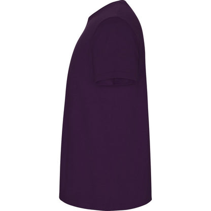 Purple - Lifestyle - Roly Childrens-Kids Stafford Short-Sleeved T-Shirt