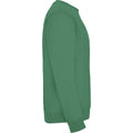 Kelly Green - Side - Roly Childrens-Kids Clasica Crew Neck Sweatshirt