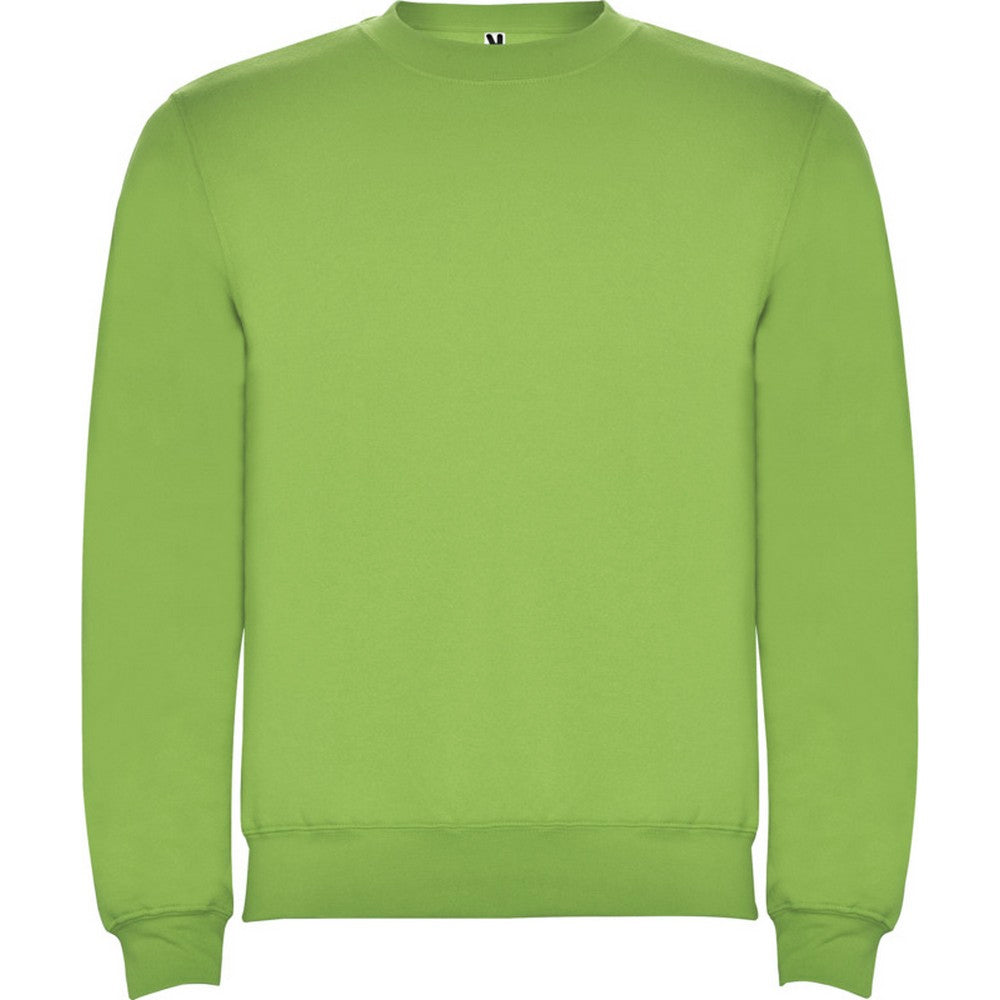 Oasis Green - Front - Roly Childrens-Kids Clasica Crew Neck Sweatshirt