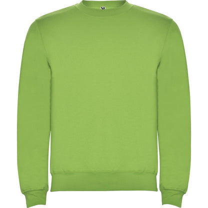 Oasis Green - Front - Roly Childrens-Kids Clasica Crew Neck Sweatshirt