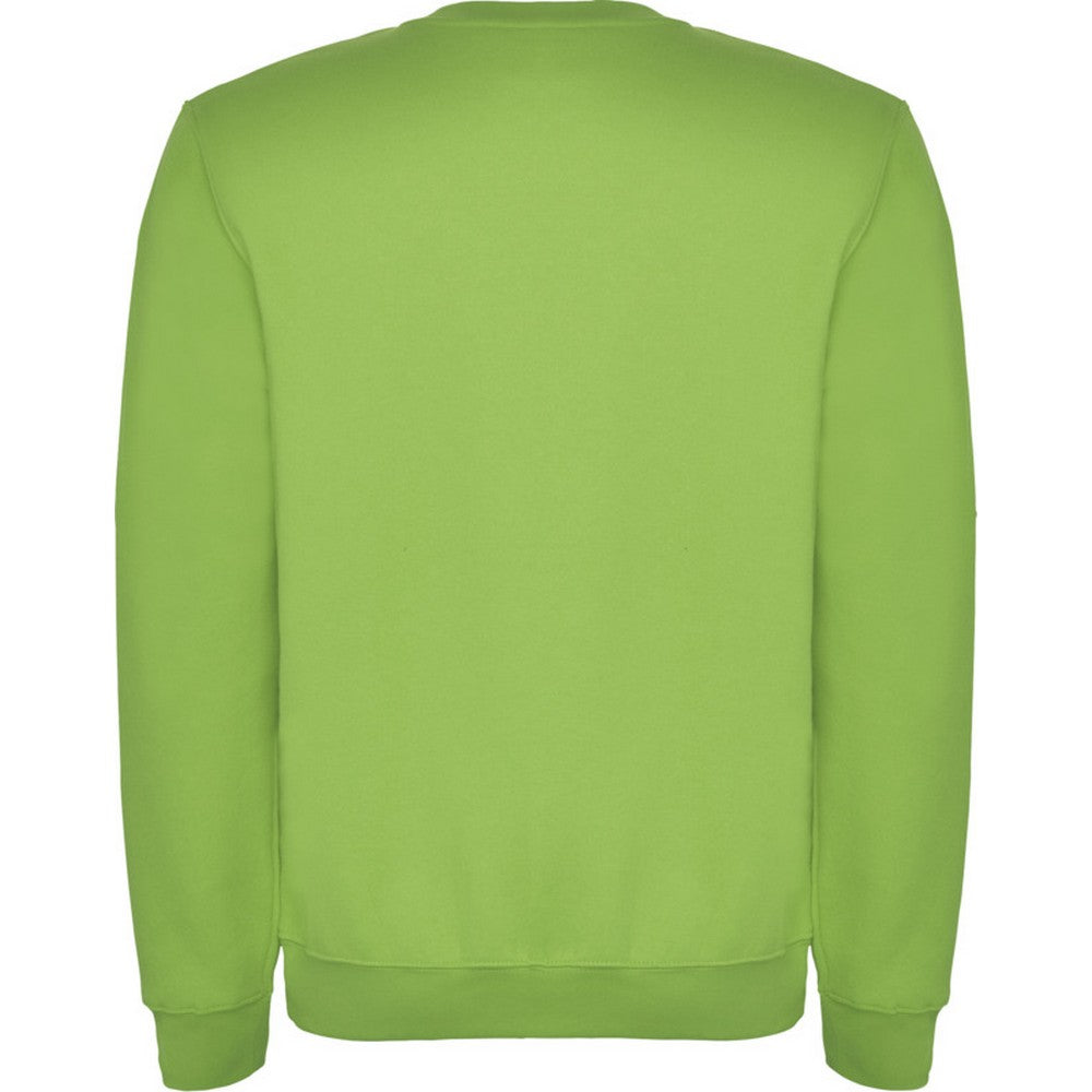 Oasis Green - Back - Roly Childrens-Kids Clasica Crew Neck Sweatshirt