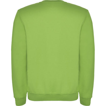 Oasis Green - Back - Roly Childrens-Kids Clasica Crew Neck Sweatshirt