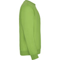 Oasis Green - Side - Roly Childrens-Kids Clasica Crew Neck Sweatshirt