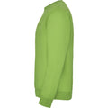 Oasis Green - Lifestyle - Roly Childrens-Kids Clasica Crew Neck Sweatshirt