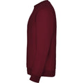 Garnet - Lifestyle - Roly Childrens-Kids Clasica Crew Neck Sweatshirt