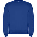 Royal Blue - Front - Roly Childrens-Kids Clasica Crew Neck Sweatshirt