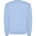 Sky Blue - Back - Roly Childrens-Kids Clasica Crew Neck Sweatshirt